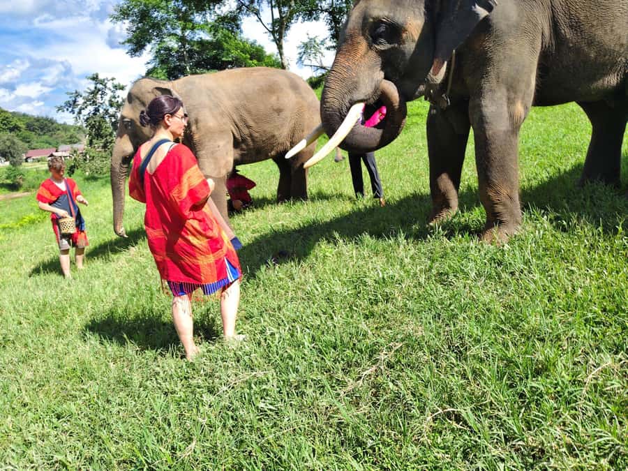Sticky waterfalls- Elephants- Bamboo or White water rafting. - Bua Thong Sticky Waterfalls: the day’s most unusual walk