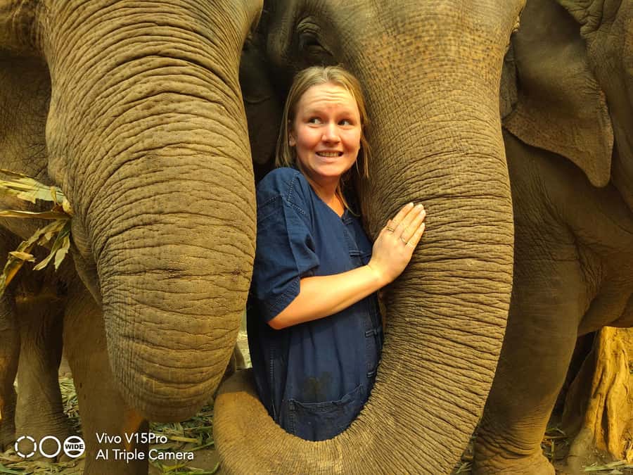 Sticky waterfalls- Elephants- Bamboo or White water rafting. - Elephant care without riding or chains