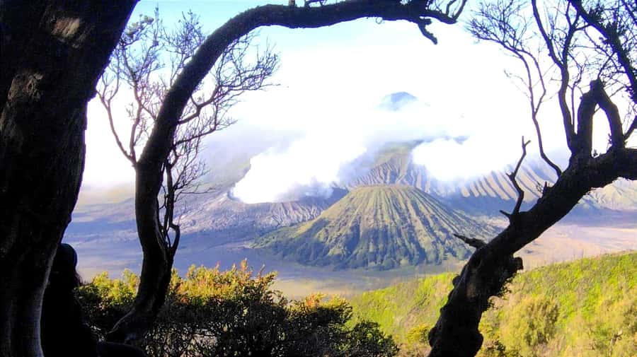 Surabaya or Malang : Bromo, Tumpaksewu waterfall in 2 days - Key points to know before booking