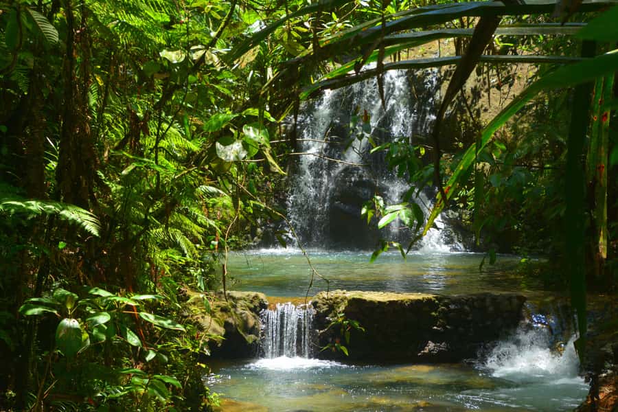 Suva: Fijian Nature and Waterfall Tour - From Suva streets to Colo-I-Suva forest