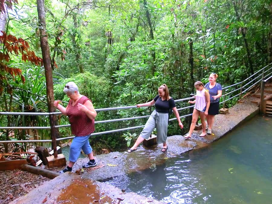 Suva: Fijian Nature and Waterfall Tour - Waisila Falls and the natural swimming pool