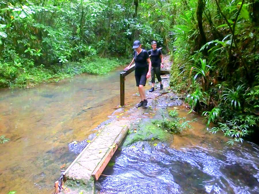 Suva: Fijian Nature and Waterfall Tour - Practical advice for a smoother visit