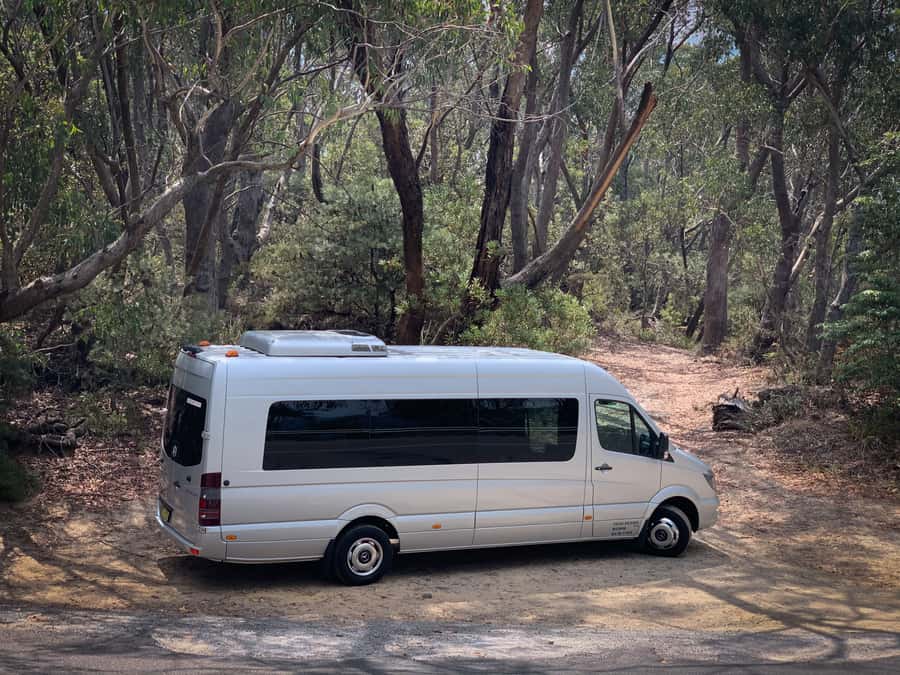 Sydney: Luxury Blue Mountains Adventure with Wentworth Falls - Guides are a major part of the value