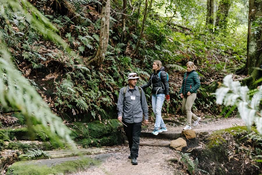 Sydney: Small Group Blue Mountains, Wildlife & Waterfalls - Why this Blue Mountains day trip works