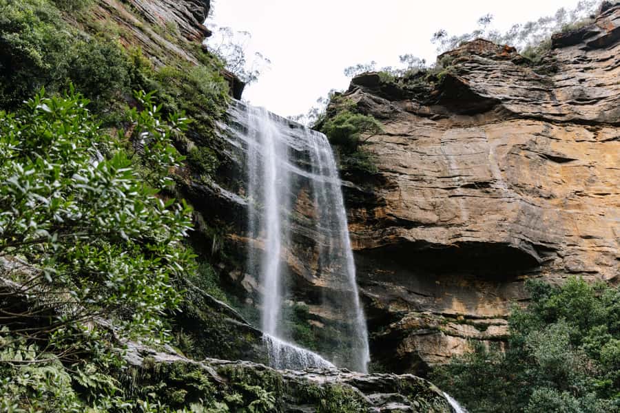 Sydney: Small Group Blue Mountains, Wildlife & Waterfalls - Featherdale Wildlife Park: a strong first stop