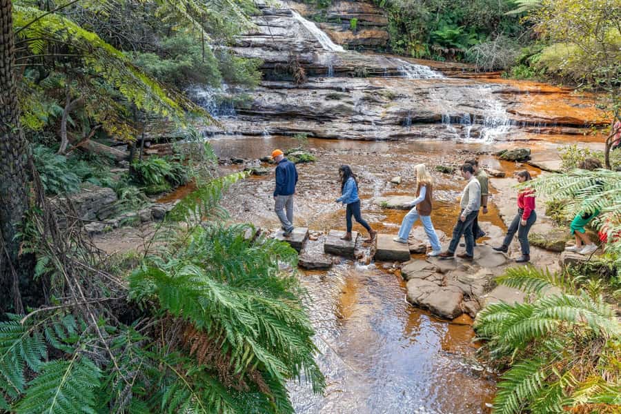 Sydney: Waterfall Bushwalk and Blue Mountain Sunset Day Trip - Entering Blue Mountains National Park