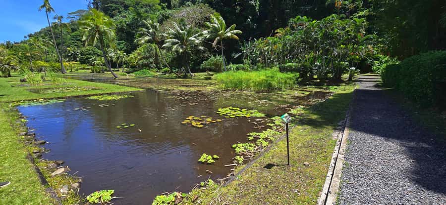 Tahiti Half Day Small Group Circle Tour - Waterfalls & Caves - Taharuu Beach shows Tahiti’s everyday coastal side