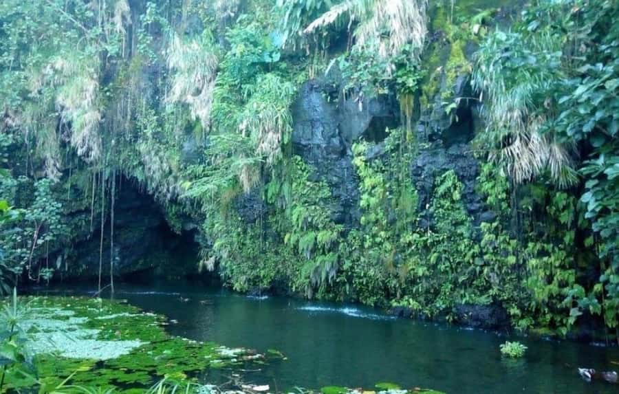 Tahiti: West and East Coast Island Tour with Waterfalls - Pointe Venus, Captain Cook, Captain Bligh, and a historic lighthouse