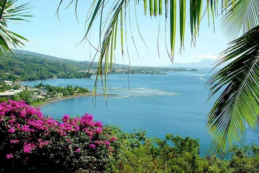 Tahiti: West and East Coast Island Tour with Waterfalls - Marae Arahurahu, Tahiti’s Polynesian starting point