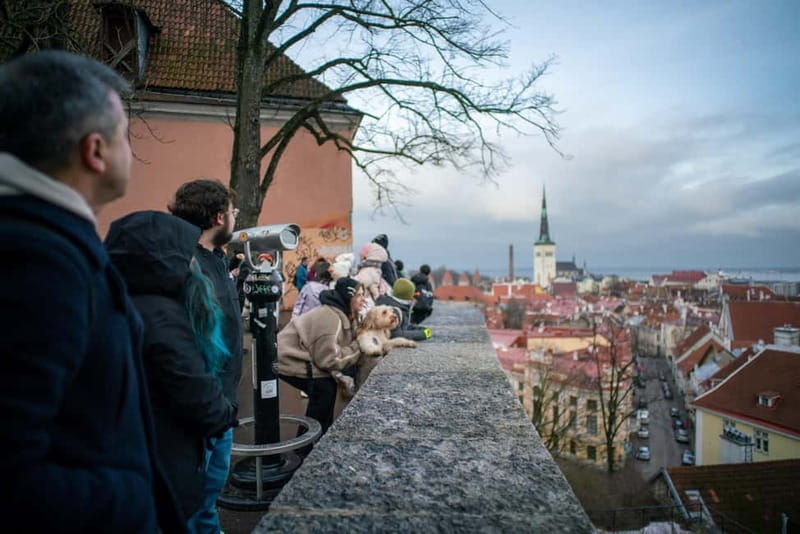 Tallinn: Old Town Walking Tour and Jägala Waterfall - The ride to Jägala Waterfall