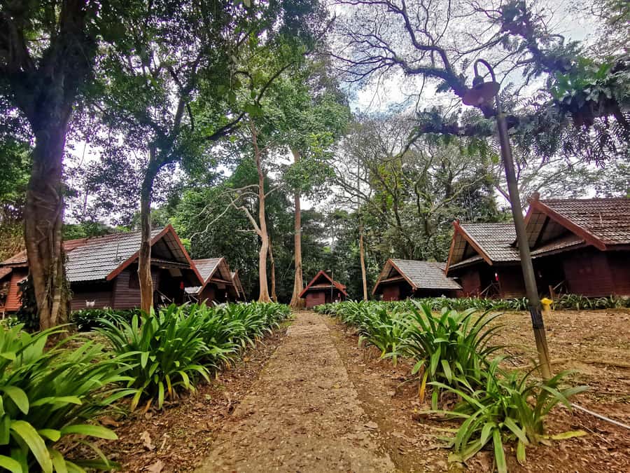 Taman Negara Rainforest Tour with Lata Berkoh Falls - Why this Taman Negara day trip works