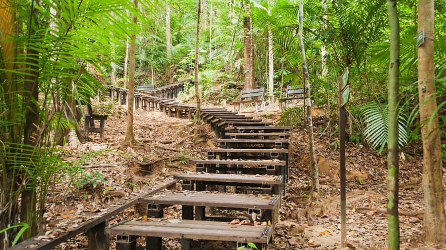 Taman Negara Rainforest Tour with Lata Berkoh Falls - Meeting the Batek community