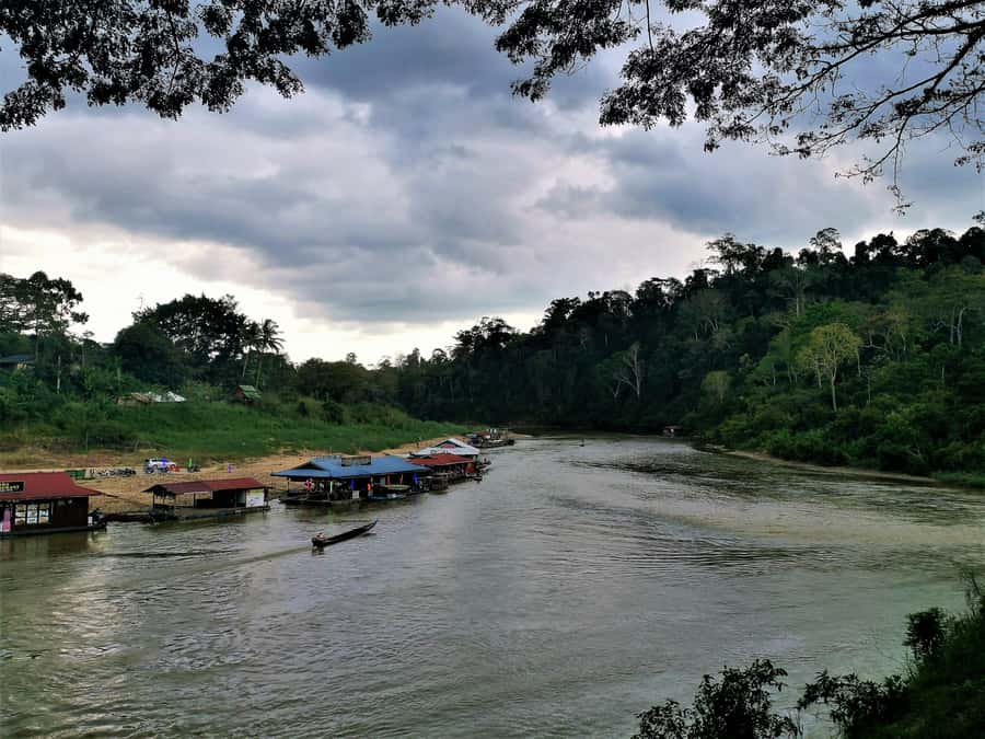 Taman Negara Rainforest Tour with Lata Berkoh Falls - Is $185 good value?