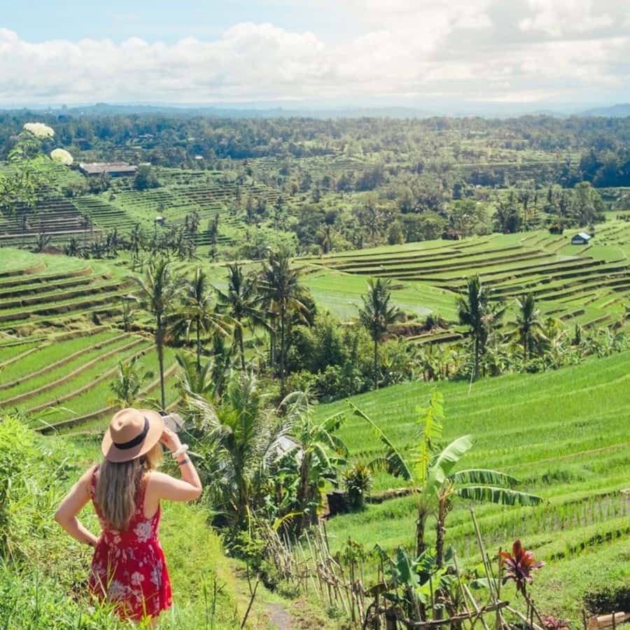 Tanah Lot-Nung Nung Waterfall-Jatiluwih and Bedugul - Bedugul and Lake Beratan: Bali’s cooler mountain pause