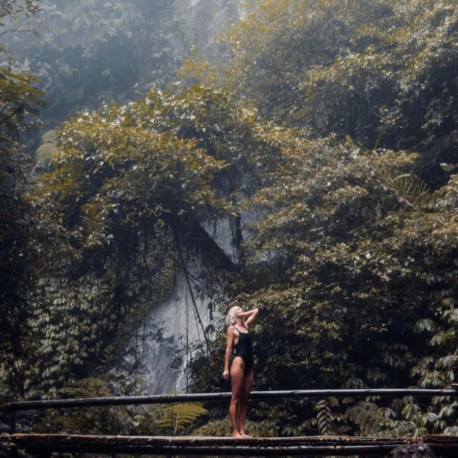 Tanah Lot-Nung Nung Waterfall-Jatiluwih and Bedugul - Jatiluwih Rice Terraces: the day’s best slow moment