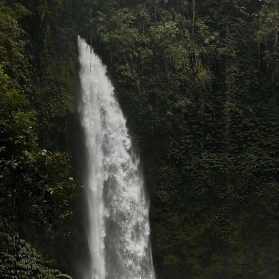Tanah Lot-Nung Nung Waterfall-Jatiluwih and Bedugul - Tanah Lot at sunset: a strong finish
