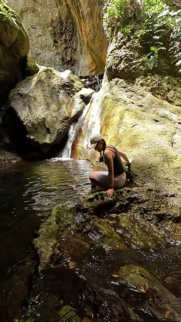 Teno Waterfalls Hiking Tour: Tropical Jungle Adventure - Key points at a glance