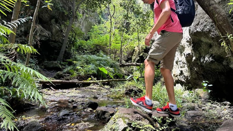 Teno Waterfalls Hiking Tour: Tropical Jungle Adventure - The return route and a small local tasting