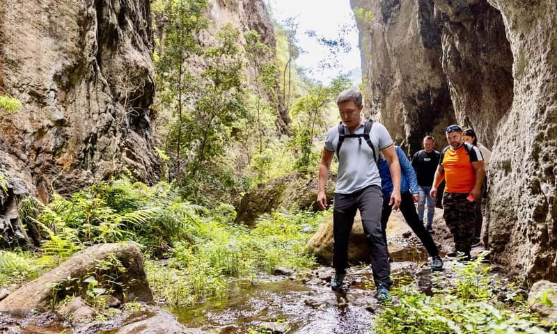 Teno Waterfalls Hiking Tour: Tropical Jungle Adventure - What $160 buys you