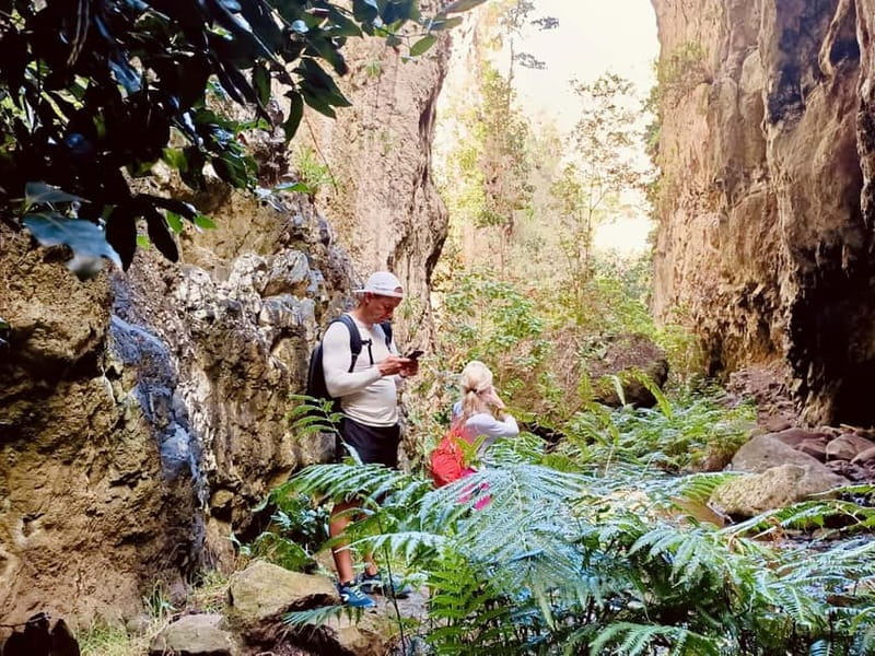 Teno Waterfalls Hiking Tour: Tropical Jungle Adventure - Timing, pickup, and group choices