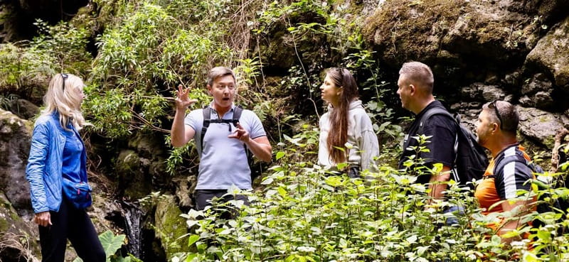 Teno Waterfalls Hiking Tour: Tropical Jungle Adventure - Who should book this Teno hike?