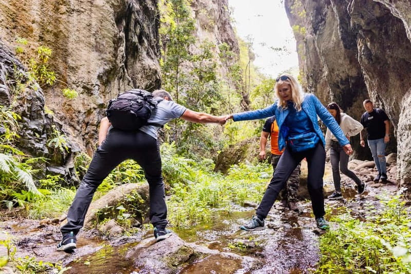 Teno Waterfalls Hiking Tour: Tropical Jungle Adventure - From plantations to the forest edge