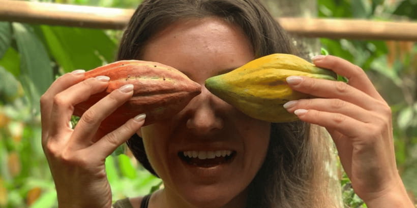 Tetebatu: Rice Fields, Waterfall, & Monkey Forest Day Tour - Is $66 good value?