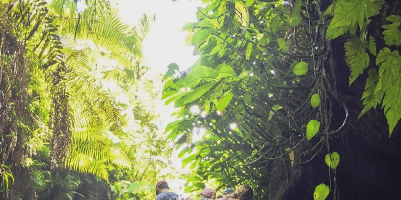 Tetebatu: Rice Fields, Waterfall, & Monkey Forest Day Tour - The 8:00 AM pickup and ride into the countryside