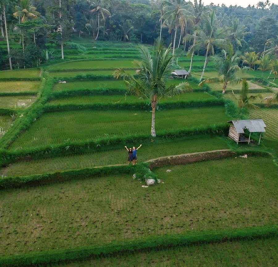 Tetebatu : Walk on Rice Terrace, Waterfall and Black Mongky - Why Tetebatu makes a good change from the coast