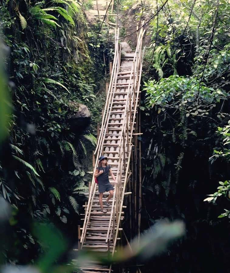 Tetebatu : Walk on Rice Terrace, Waterfall and Black Mongky - Waterfalls, river paths, and what to bring
