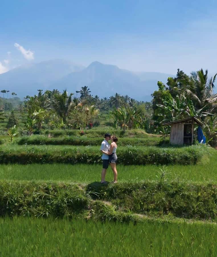 Tetebatu : Walk on Rice Terrace, Waterfall and Black Mongky - Walking through the rice terraces and green villages