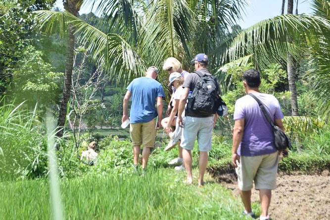 Tetebatu Walking Tour - Rice Terraces, Waterfall & Monkey Forest - Rice terraces and the oldest tourist village on Lombok