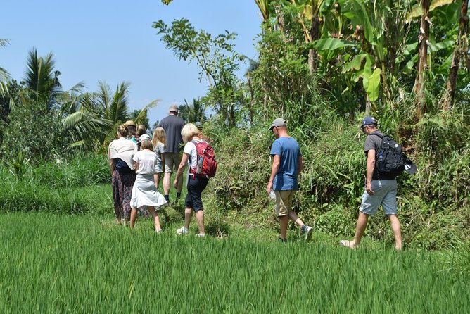 Tetebatu Walking Tour - Rice Terraces, Waterfall & Monkey Forest - Burung Walet Waterfall and the canyon swim