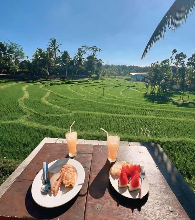 Tetebatu : Waterfall, Rice Fields & Monkey Forest Full day - Coffee, coconut oil, and plants along the route
