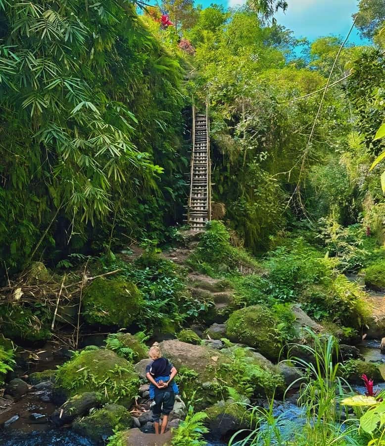 Tetebatu : Waterfall, Rice Fields & Monkey Forest Full day - Is $86 per person good value?