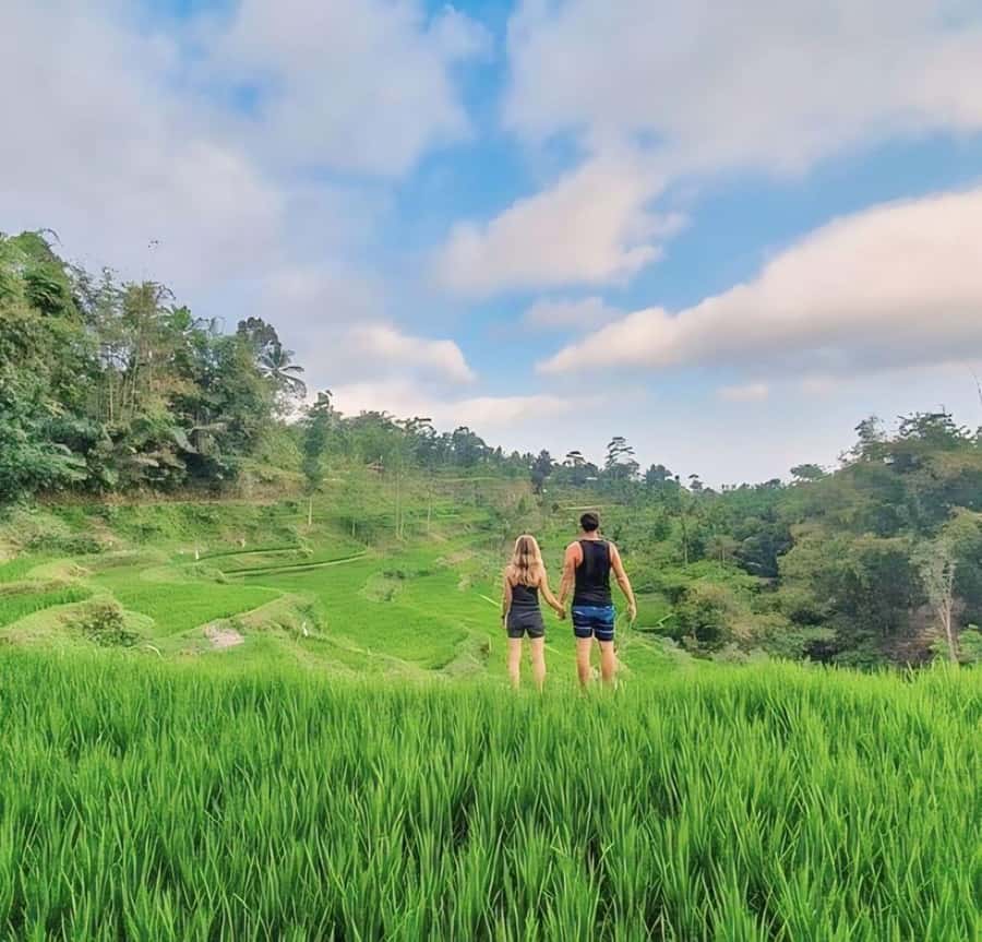 Tetebatu : Waterfall, Rice Fields & Monkey Forest Full day - The early start and the ride from Central Lombok