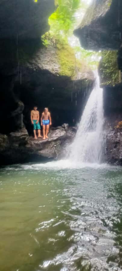 Tetebatu: Waterfalls, Spices, Rice Terrace, Monkey forest - Who should book this Tetebatu experience?
