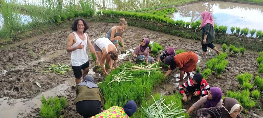 Tetebatu: Waterfalls, Spices, Rice Terrace, Monkey forest - Why Tetebatu feels different from a standard day tour