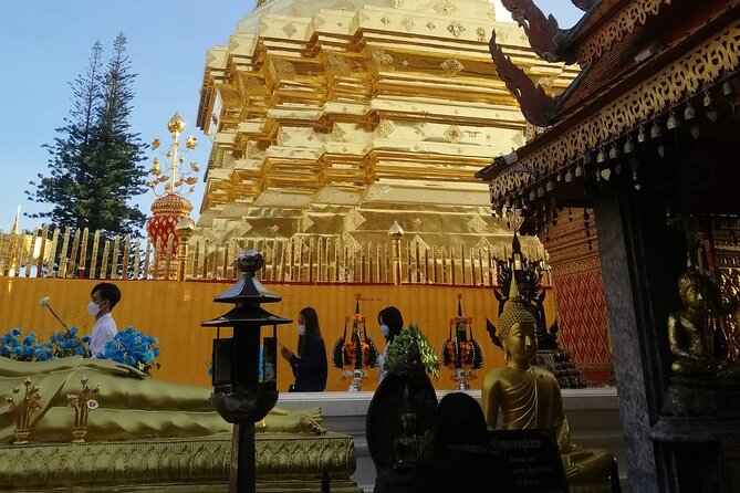 The Best Full Day Tour: Doi Suthep, Wat Phalat, Sticky Waterfall - Bua Thong Sticky Waterfall is the active finale