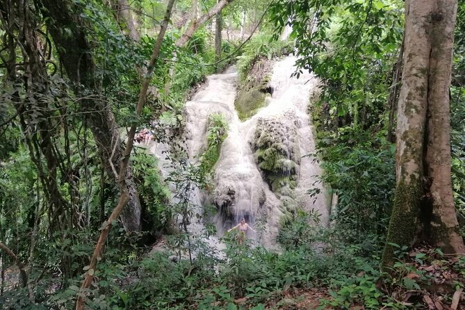 The Best Full Day Tour: Doi Suthep, Wat Phalat, Sticky Waterfall - What the guide can add to the day
