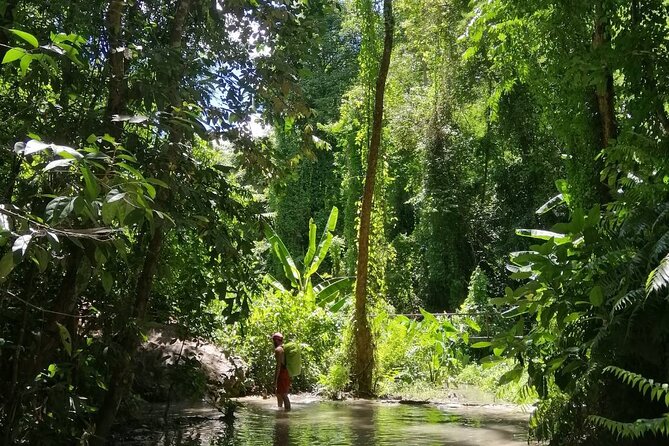 The Best Full Day Tour: Doi Suthep, Wat Phalat, Sticky Waterfall - Is the $48.67 price good value?
