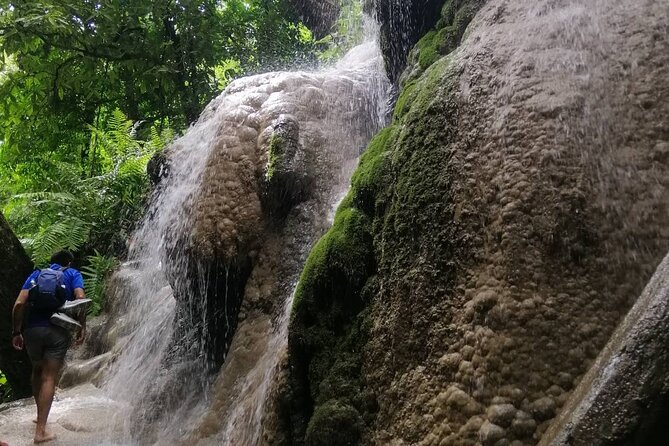 The Best Full Day Tour: Doi Suthep, Wat Phalat, Sticky Waterfall - Wat Pha Lat and the sound of forest water