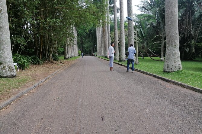 The Botanical Gardens and Water Falls Experience - Private Tour - Asenema Waterfalls, the quiet final stop