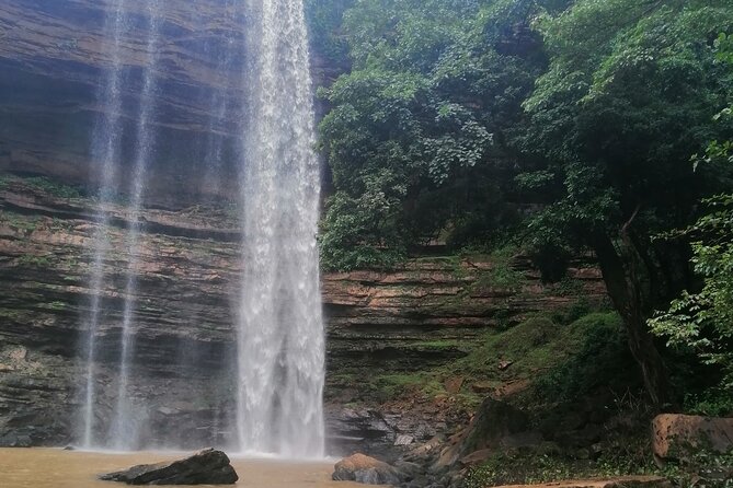 The Botanical Gardens and Water Falls Experience - Private Tour - Lunch, water, and the value of a private vehicle