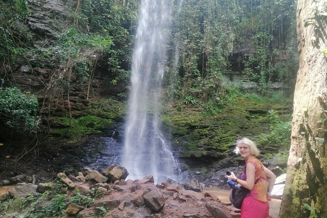 The Botanical Gardens and Water Falls Experience - Private Tour - Who will enjoy this outing most