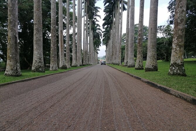 The Botanical Gardens and Water Falls Experience - Private Tour - Aburi Botanical Gardens: plants with a purpose