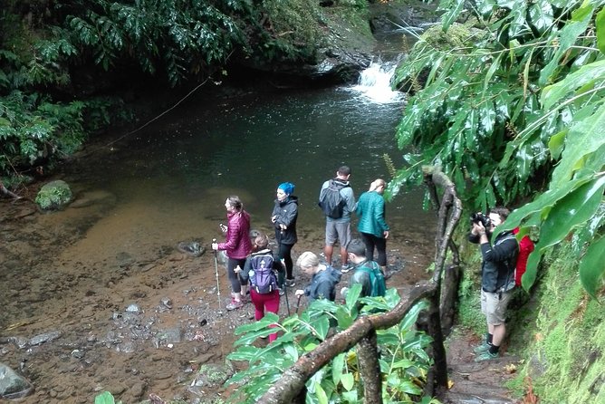 The Great waterfalls Hiking tour - Ribeira dos Caldeirões and the afternoon waterfalls