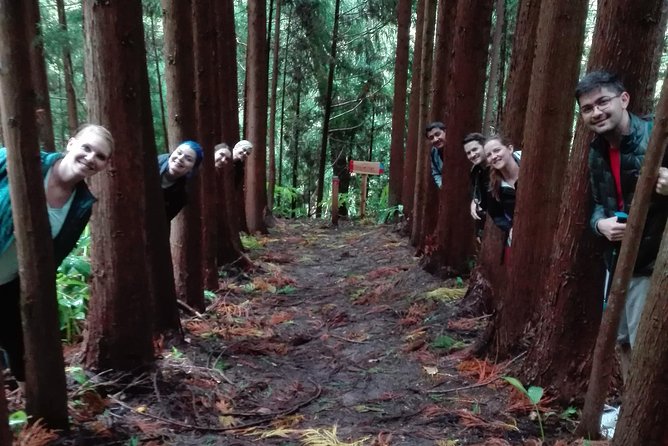 The Great waterfalls Hiking tour - What the guides add to the day