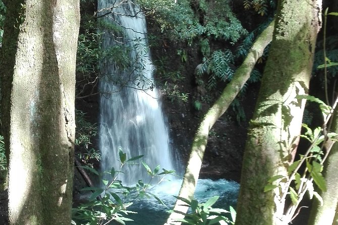 The Great waterfalls Hiking tour - Starting at 9:00 with pickup included