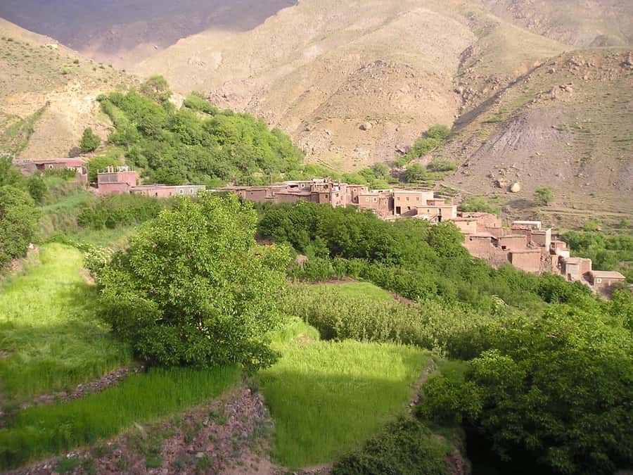 Three valleys, Atlas Mountain, waterfalls & Agafay Desert - Walking through Imlil Valley and Berber villages